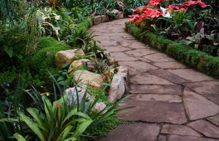 garden path with bromeliads lining it