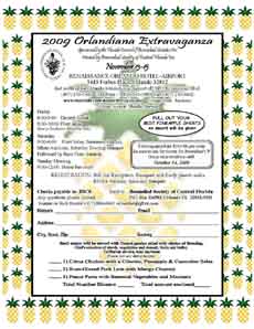 bromeliad extravaganza flyer